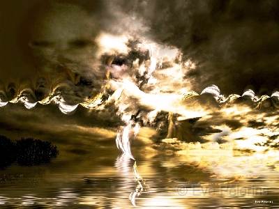 Il planait sur les arbres.jpg